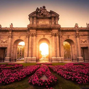 Rosas Madrid